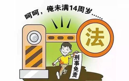 建議嚴管未成年人知法犯法！