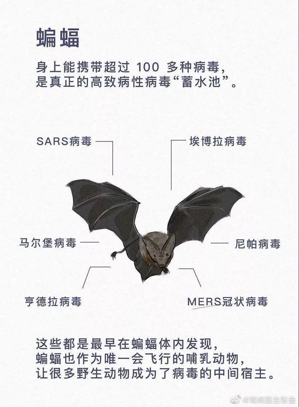 這10道與疫情有關(guān)的作業(yè)題，你的孩子會(huì)如何作答？