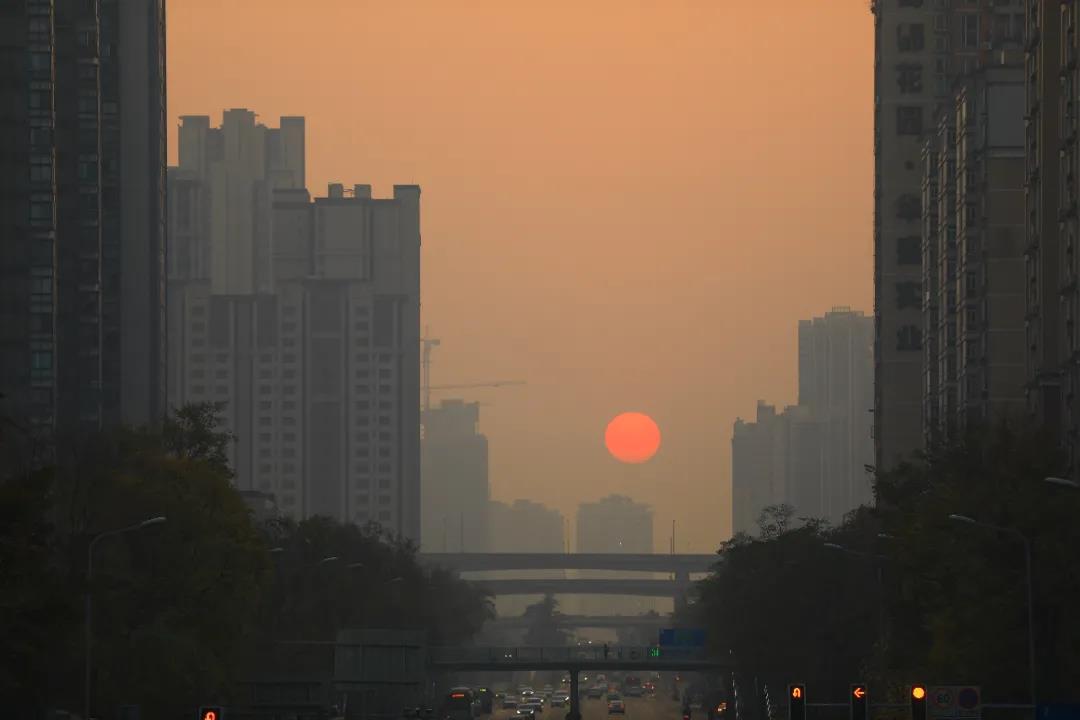 重磅！今后我省這些專業(yè)擬在一本招生