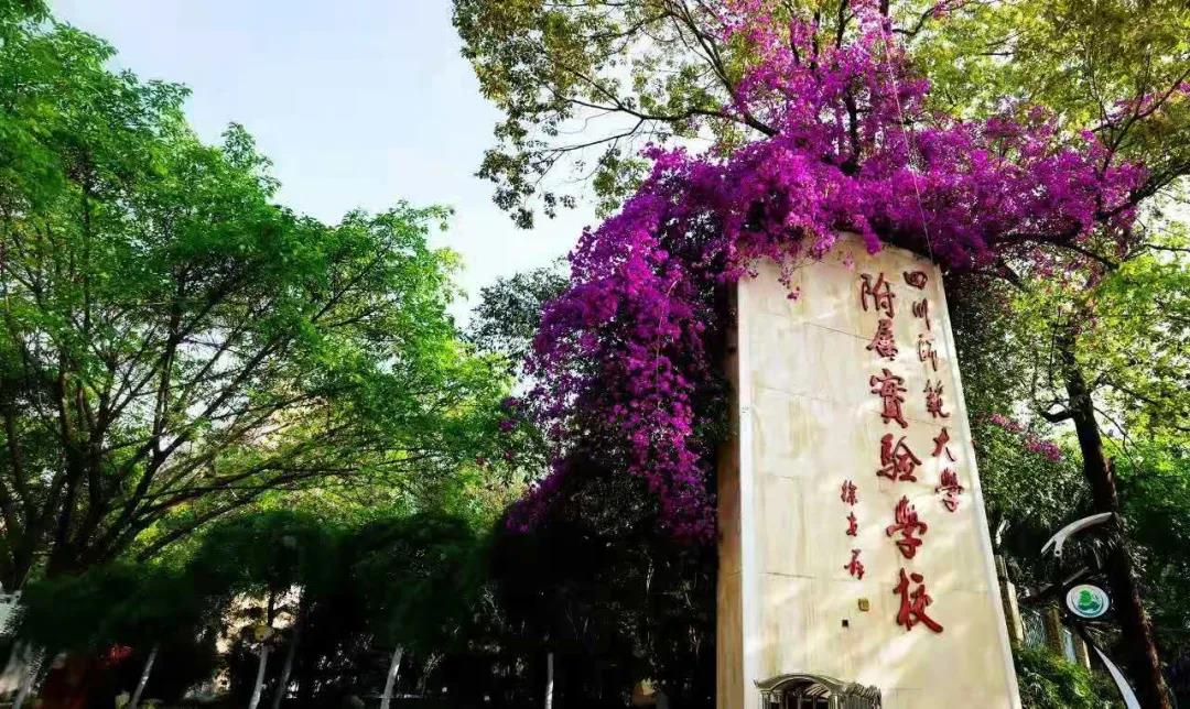 又一所官宣升級！成都一貫制學(xué)校有哪些了？